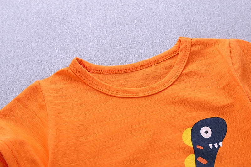 Summer Tshirt with matching shorts